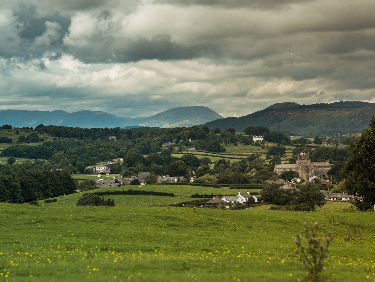 Cartmel Camping Pod Grange-over-Sands Esterno foto